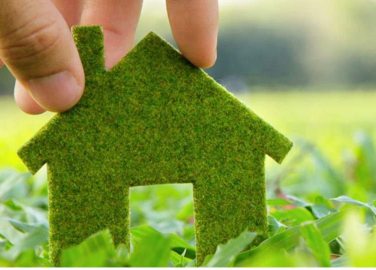 7 Cara Sederhana Terapkan Gaya Hidup Ramah Lingkungan untuk Rumah Hijau