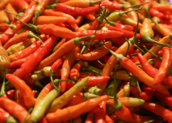 Awal Tahun Harga Cabai Naik Tajam, Bapanas Bilang Faktor Cuaca