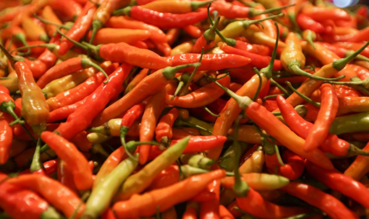 Awal Tahun Harga Cabai Naik Tajam, Bapanas Bilang Faktor Cuaca