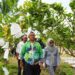 Dukung Program Ketahanan Pangan, Long Kali Jadi Sentra Buah Kaltim