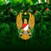 TNI AD Bentuk 23 Satuan Batalyon Teritorial Pembangunan di IKN, Ini Tugas Utamanya