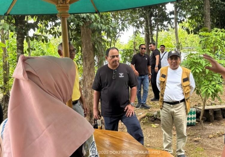 Penajam Paser Utara Gagas Hadirkan Hutan Kota, Jadi Pertama di Kaltim