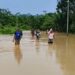 Hujan Berhari-hari, Wilayah Mentawir Sepaku Terendam Banjir