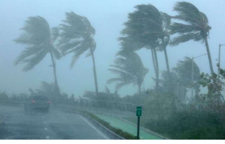 Prakiraan Cuaca 17 Januari 2025 di Kaltim: Waspada Cuaca Ekstrem! Ini Wilayah Diprediksi Hujan Lebat Disertai Angin Kencang