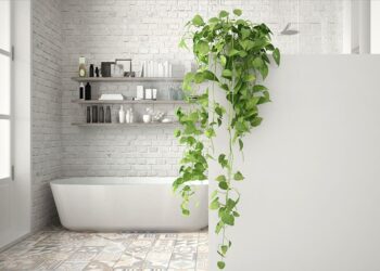 15 Tips Mengatur Kamar Mandi Menurut Feng Shui, Ciptakan Ruang Harmonis dan Sehat