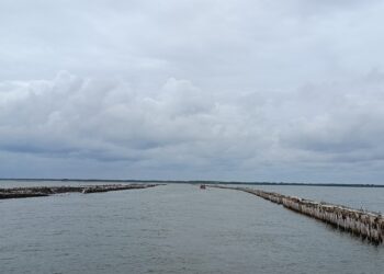 Pemprov Jabar Sebut Pagar Misterius di Pantai Desa Segar Jaya Bekasi untuk Alur Pelabuhan