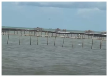 Misteri Pagar Laut Sepanjang 30,16 Kilomter di Perairan Tangerang Bikin Heboh, Proyek Siapa?