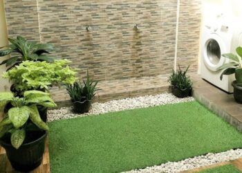 3 Inspirasi Tata Letak Taman Dalam Rumah, Ciptakan Dapur Keren dengan Tanaman Sukulen
