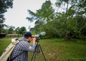Momen peserta Lomba Fotografi Alam menangkap keindahan lanskap IKN