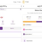 Dompet Pi Network menampilkan saldo yang tersedia