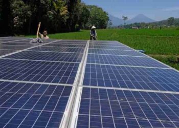 Empat Kabupaten di Sultra Dapat Hibah PLTS dari KOICA