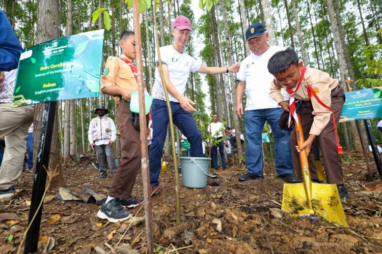 Kegiatan menanam pohon di IKN