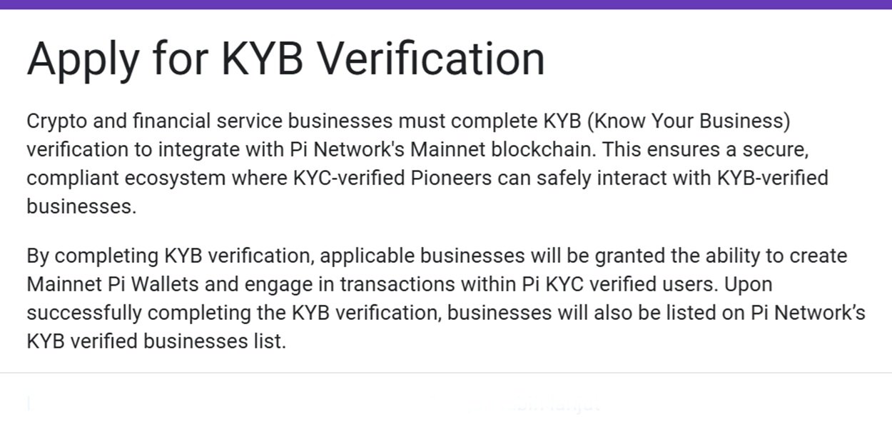 Gambar formulir verifikasi KYB Pi Network yang diisi oleh bisnis