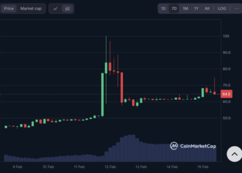 Harga Pi Mulai Terperosok
