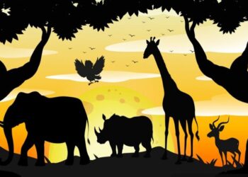 Edukasi Keragaman Satwa IKN Akan Dibangun di Lahan Seluas 225 Hektare