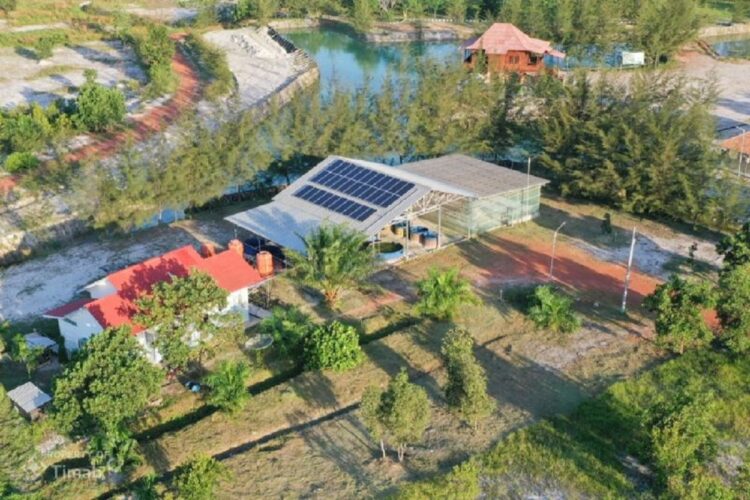 PT Timah Gunakan Energi Terbarukan untuk Tekan Dampak Perubahan Iklim