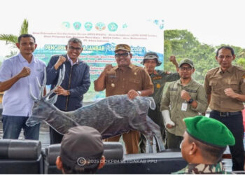Rusa Sambar, Ikon Kabupaten Penajam Dikirim ke Kawasan Konservasi PT Adaro