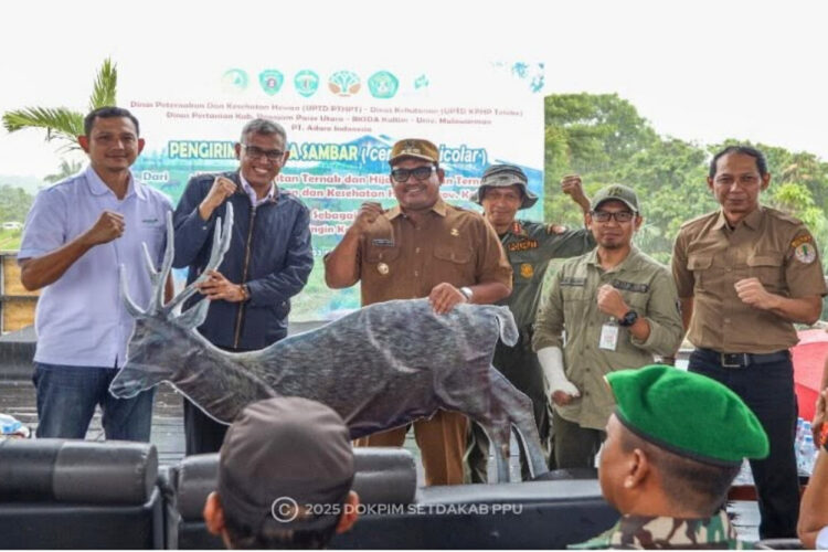 Rusa Sambar, Ikon Kabupaten Penajam Dikirim ke Kawasan Konservasi PT Adaro