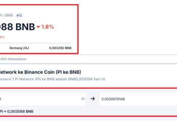 Ilustrasi konversi Pi Coin ke Binance Coin dengan kalkulator kripto