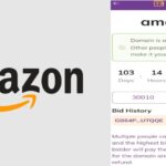 Ilustrasi lelang domain .Pi di Pi Network dengan tawaran Amazon.Pi mencapai 30.000 Pi Coin