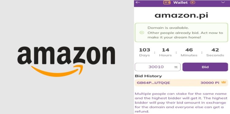 Ilustrasi lelang domain .Pi di Pi Network dengan tawaran Amazon.Pi mencapai 30.000 Pi Coin