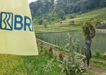 Wujud Komitmen BRI dalam Penerapan ESG: Dukung Ekonomi Hijau dan UMKM