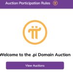 peluncuran lelang domain.pi