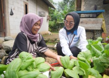 Nasabah Aktif Program PNM Meekar Mencapai 15,4 Juta Orang