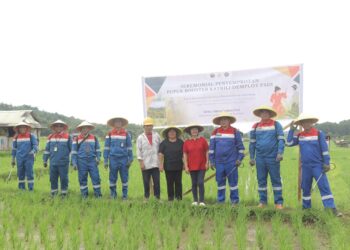 Inovasi Pupuk Booster Katrili PGE: Pemanfaatan Panas Bumi untuk Swasembada Energi