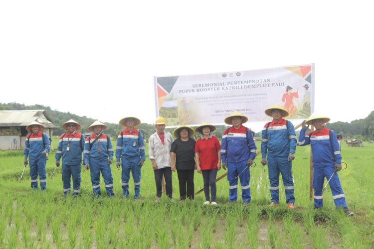 Inovasi Pupuk Booster Katrili PGE: Pemanfaatan Panas Bumi untuk Swasembada Energi