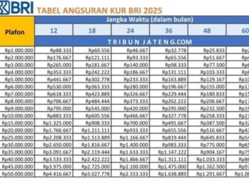 Limit Pinjaman KUR BRI 2025 Hingga Rp150 Juta, Cek Syarat, Tabel Angsuran dan Cara Pengajuannya di Sini