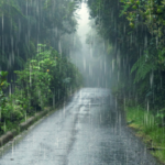 Sebagian besar Kaltim Hujan