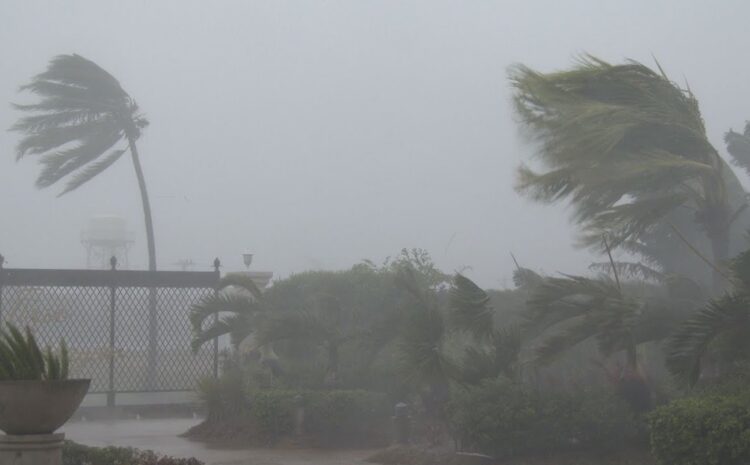 Cuaca ekstrem landa Kaltim