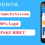 Contoh dashboard program loyalitas DANA