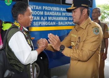 lepas liarkan orang utan