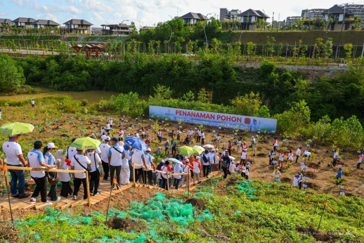 800 Bibit Pohon Ditanam di Ibu Kota Nusantara