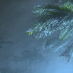 Cuaca Kalimantan TImur