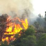 Kaltim masuk kawasan khusus