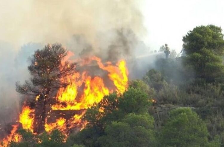 Kaltim masuk kawasan khusus