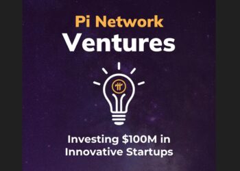 Skandal Pi Network Ventures dibongkar Dr Altcoin