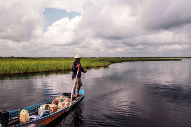 Pemkab Kukar Lestarikan 110.094 Hektare Lahan Gambut di Kabupaten Penyangga IKN