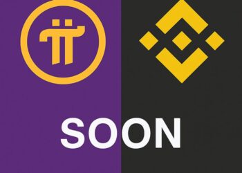 subdomain pi.binance.com