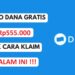 Klaim Saldo DANA Gratis Rp555.000 Langsung Cair Malam Ini