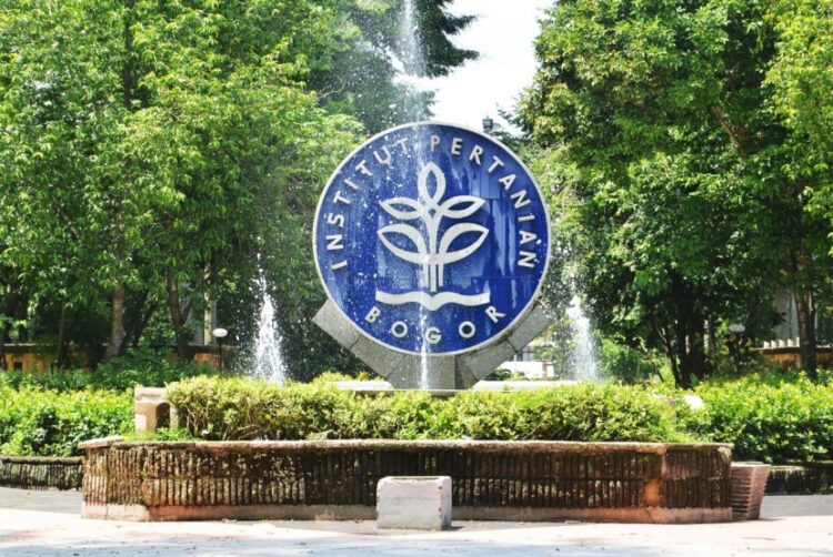 Lolos IPB Gak Harus Genius! Ini Daftar Jurusan dengan Peluang Lolos Tinggi di SNBT 2025