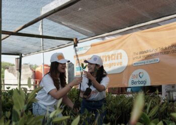 BNI GoGreen Jalankan Konservasi Mangrove untuk Dorong Perekonomian Warga dan Pariwisata di Banyuwangi