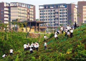 Cara OIKN Wujudkan Kota Hutan Inklusif: Tanam Pohon Tiap 2 Pekan
