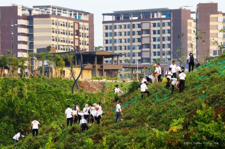 Cara OIKN Wujudkan Kota Hutan Inklusif: Tanam Pohon Tiap 2 Pekan