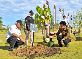 Sentuhan Hijau Gibran di IKN: Tanam Pohon Ulin di Plaza Bhinneka Tunggal Ika