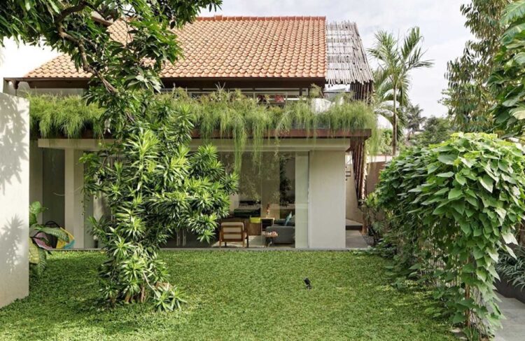 rumah tropis minimalis