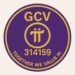 99.1% Pioneer Setuju GCV $314.159 HARGA RESMI Pi Coin